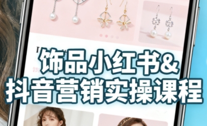 抖音+小红书饰品卖货：货源、开店、内容全教会，让新手快速掌握饰品线上营销全流程，轻松开启变现路网创-网赚-兼职-副业天辰网创