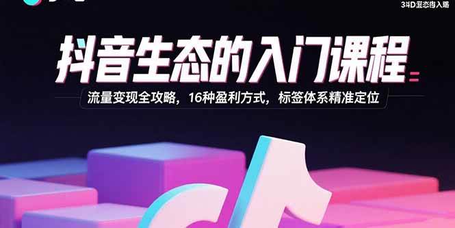 （15856期）抖音生态的入门课程：流量变现全攻略，16种盈利方式，标签体系精准定位网创-网赚-兼职-副业天辰网创