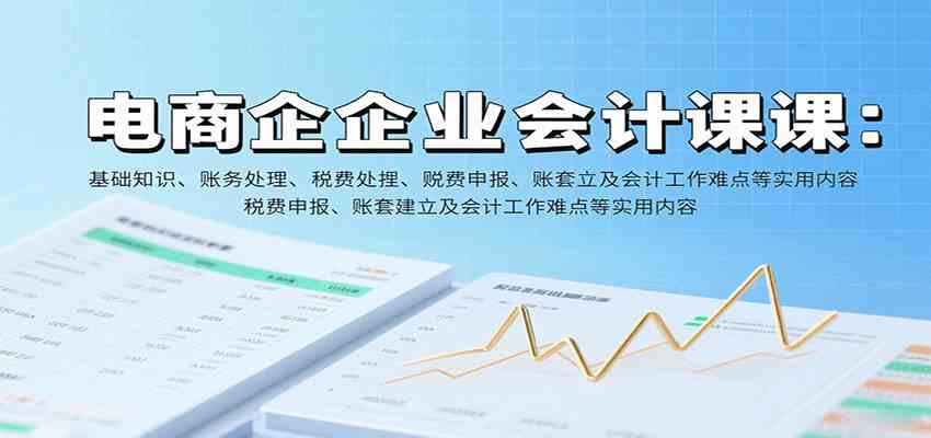 电商企业会计课：基础知识、账务处理、税费申报、账套建立及会计工作难点等实用内容网创-网赚-兼职-副业天辰网创