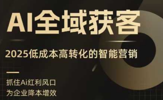 AI全域获客实训营，2025低成本高转化的智能营销，精准找客，高效营销网创-网赚-兼职-副业天辰网创