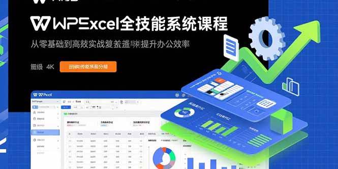 （15873期）WPS Excel全技能系统课程：从零基础到高阶实战全覆盖，全面提升办公效率网创-网赚-兼职-副业天辰网创