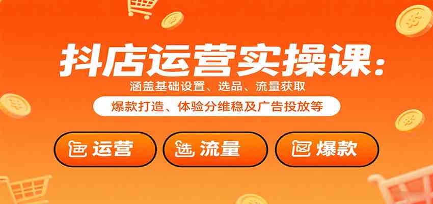 抖店运营实操课：涵盖基础设置、选品、流量获取、爆款打造、体验分维稳及广告投放等网创-网赚-兼职-副业天辰网创