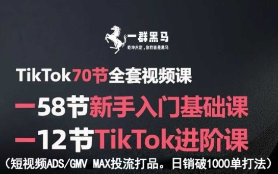 TikTok全套视频课，新手入门+进阶课，短视频ADS-GMV MAX投流打品，日销破1000单打法网创-网赚-兼职-副业天辰网创