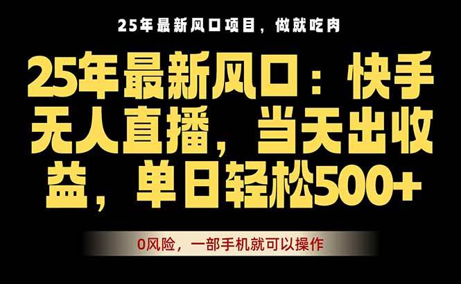（16007期）25年最新无人直播玩法，当天秒出单，一部手机就可操作网创-网赚-兼职-副业天辰网创