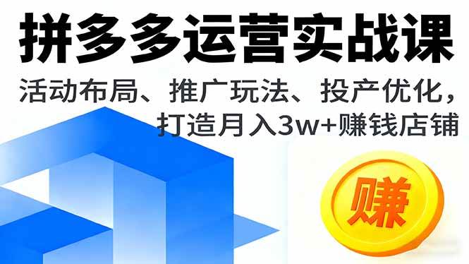 （16135期）拼多多运营实战课，活动布局、推广玩法、投产优化，打造月入3w+赚钱店铺网创-网赚-兼职-副业天辰网创
