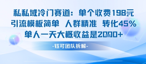私域冷门赛道单个收费198米引流模板简单人群精准 45%的转化率单人一天大概收益多张网创-网赚-兼职-副业天辰网创