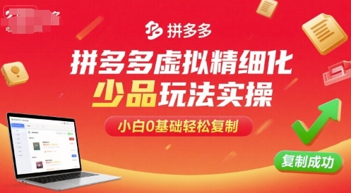 拼多多虚拟精细化少品玩法实操，小白0基础轻松复制网创-网赚-兼职-副业天辰网创