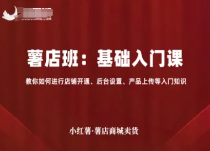 小红薯薯店商城卖货，基础入门课，教你如何进行店铺开通、后台设置、产品上传等入门知识网创-网赚-兼职-副业天辰网创