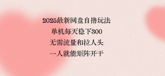 2025最新网盘自撸玩法，单机每天稳下3张，无需流量和拉人头，一个人就可轻松矩阵，全网独一份【揭秘】网创-网赚-兼职-副业天辰网创