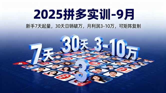 （16008期）2025拼多多实训-9月：新手7天起量,30天日销破万,月利润3-10万,可矩阵复制网创-网赚-兼职-副业天辰网创