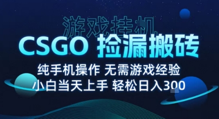 8月最新游戏搬砖，CSGO纯挂G，不需要玩游戏，实现真挂G，月入1W+【揭秘】网创-网赚-兼职-副业天辰网创
