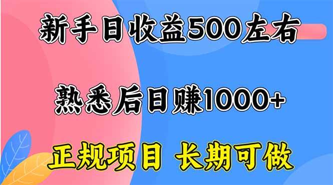 （16132期）新手日收益500+ 正规项目 长期可做网创-网赚-兼职-副业天辰网创