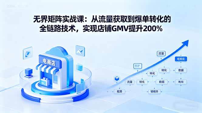 （16104期）无界矩阵实战课：从流量获取到爆单转化的全链路技术，实现店铺GMV提升200%网创-网赚-兼职-副业天辰网创