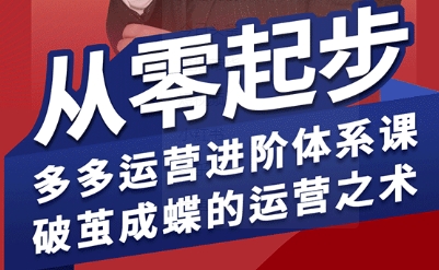 拼多多运营进阶系统课，从零起步，多多运营进阶体系课，破茧成蝶的运营之术（更新9月）网创-网赚-兼职-副业天辰网创