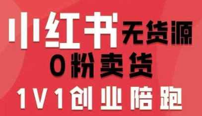 小红书无货源0粉电商课，开店准备、选品策略、笔记撰写、视频剪辑、数据分析、账号打造、资料文档网创-网赚-兼职-副业天辰网创