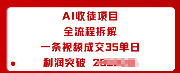 AI收徒项目全流程拆解一条视频成交35单日利润突破1k+网创-网赚-兼职-副业天辰网创
