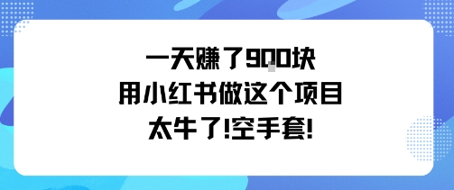 一天挣了9张用小红书做这个项目太牛了，空手套网创-网赚-兼职-副业天辰网创