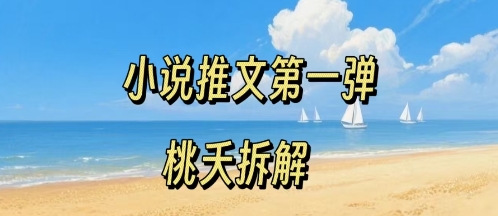 小说推文项目操作全流程第一弹，0粉就能做，门槛低非常适合新手网创-网赚-兼职-副业天辰网创