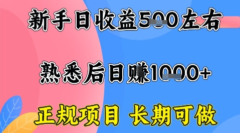 全年可变现项目，收益高无门槛，正规项目，长期可做，一天收益1k+一台电脑在家创业【揭秘】网创-网赚-兼职-副业天辰网创