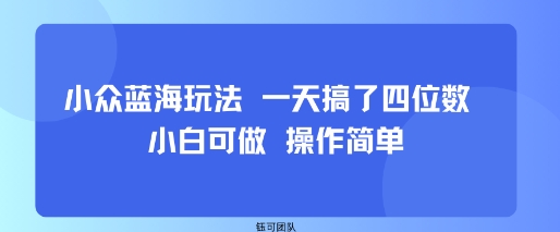 小众蓝海玩法 一天搞了四位数 小白可做 操作简单网创-网赚-兼职-副业天辰网创