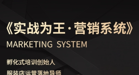 服装老板必修课《实战为王-营销系统》实现业绩被动式增长网创-网赚-兼职-副业天辰网创