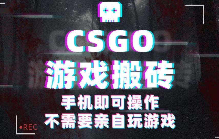 CSGO游戏挂机捡漏，单日扫货500+，年底小高峰上车可吃肉，手机即可操作兼职副业网创-网赚-兼职-副业天辰网创