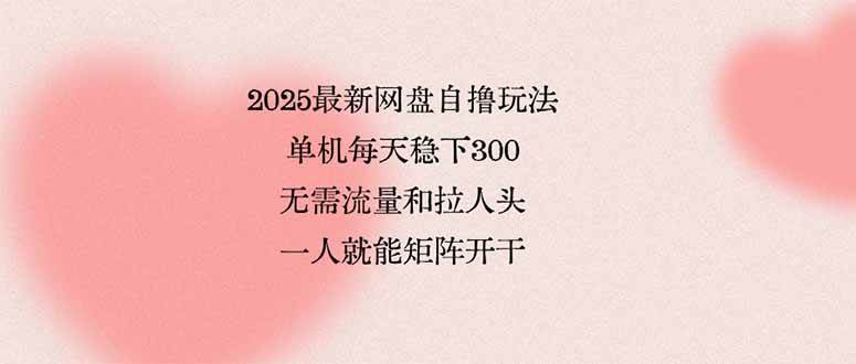 （15831期）2025最新网盘自撸玩法，单机每天稳下3张，无需流量和拉人头，一个人就…网创-网赚-兼职-副业天辰网创