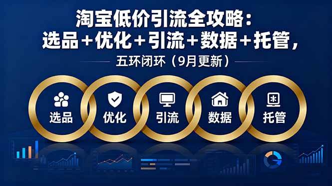 （16009期）淘宝低价引流全攻略：选品＋优化＋引流＋数据＋托管，五环闭环（9月更新）网创-网赚-兼职-副业天辰网创