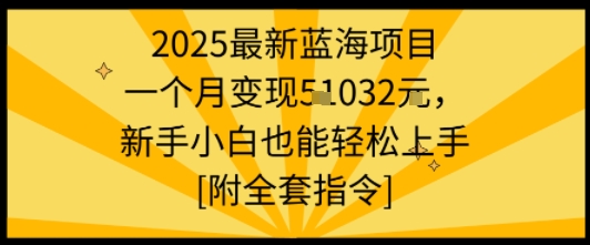 2025最新蓝海项目一个月变现1w+新手小白也能轻松上手【附全套指令】网创-网赚-兼职-副业天辰网创